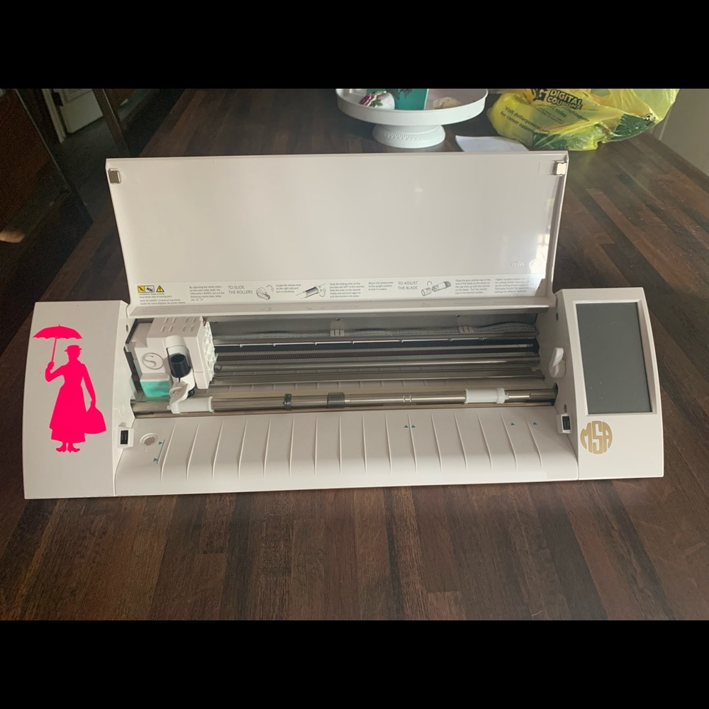 Silhouette Cameo (all vinyl can be removed)